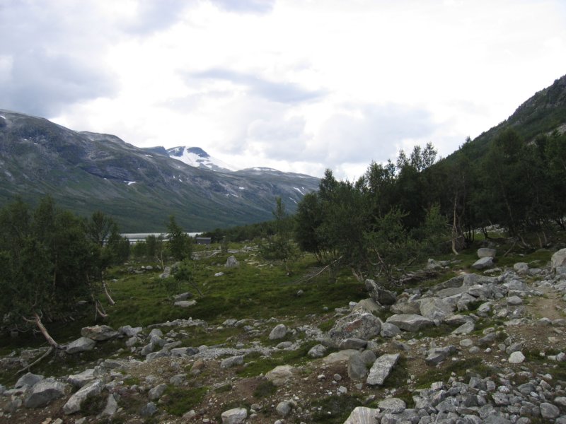 Photograph